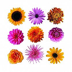 Samolepiaca dekorácia Flowers, 30 x 30 cm