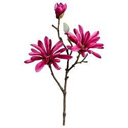 Umelá Rastlina Magnolie, V: 45cm
